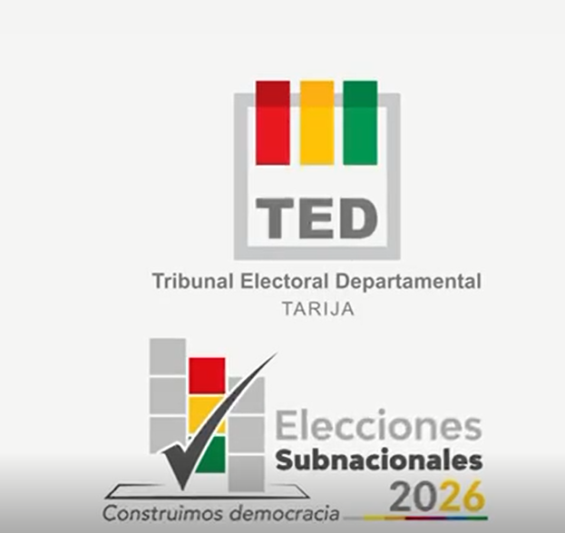 ELECCIONES SUBNACIONALES 2026